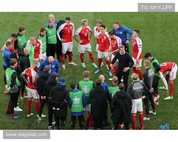 丹麦与比利时对决分析及胜负推荐策略分享