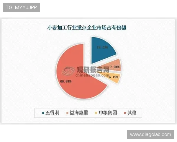 倪永康的政治生涯与影响力分析及其在当代中国的历史地位探讨