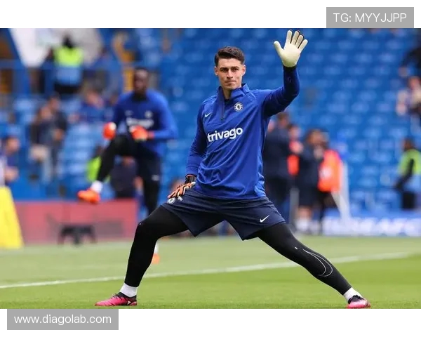 布莱顿对西布朗比赛前瞻及胜负预测分析详解