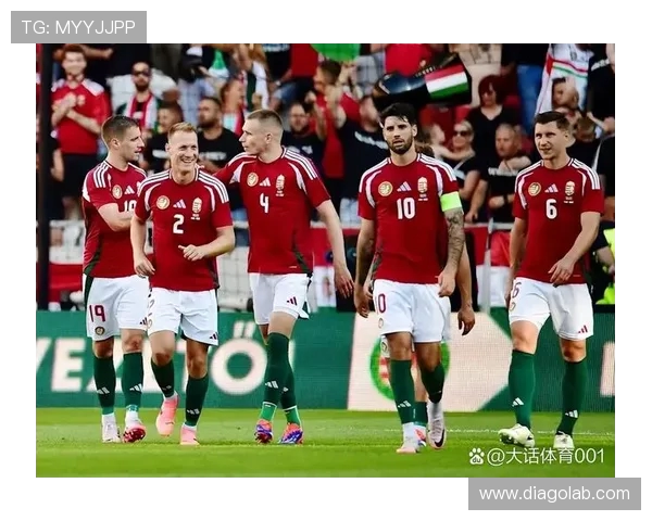 瑞士与匈牙利足球比赛比分预测及分析展望