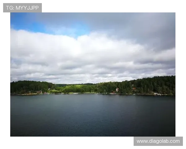 芬兰对阵爱沙尼亚精彩直播全程回顾与赛后分析