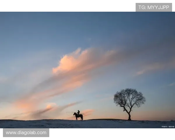 雷蒙的奇幻旅程：探索未知世界的勇气与智慧