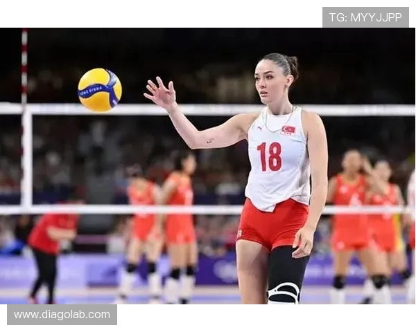 张丽独家分享排球心得与技巧助你提升球技的秘诀与经验总结