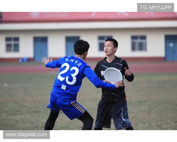 深圳飞盘队状态分析：聚焦队伍表现与未来发展潜力