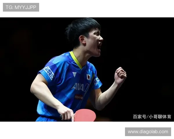 南京乒乓球队实力深度解析及各队员表现全面对比分析 南京乒乓球队实力深度解析及各队员表现全面对比分析