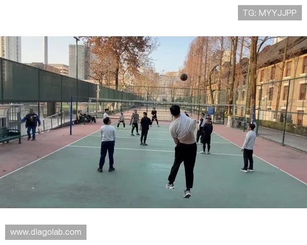 南京排球队技术揭秘：从基础到巅峰的排球艺术探索之旅