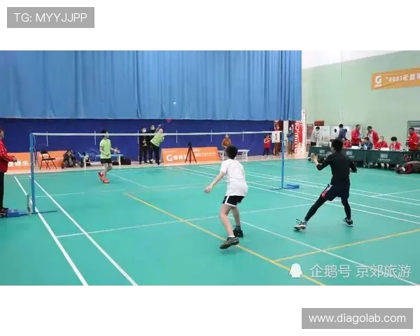 成都羽毛球队防反战术创新探索与实践分析